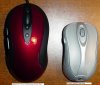 Mouse comparison.JPG